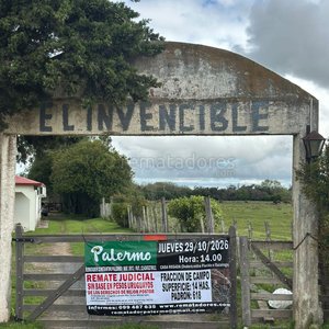 Remate de Campo en Palermo, Uruguay - imagen 1