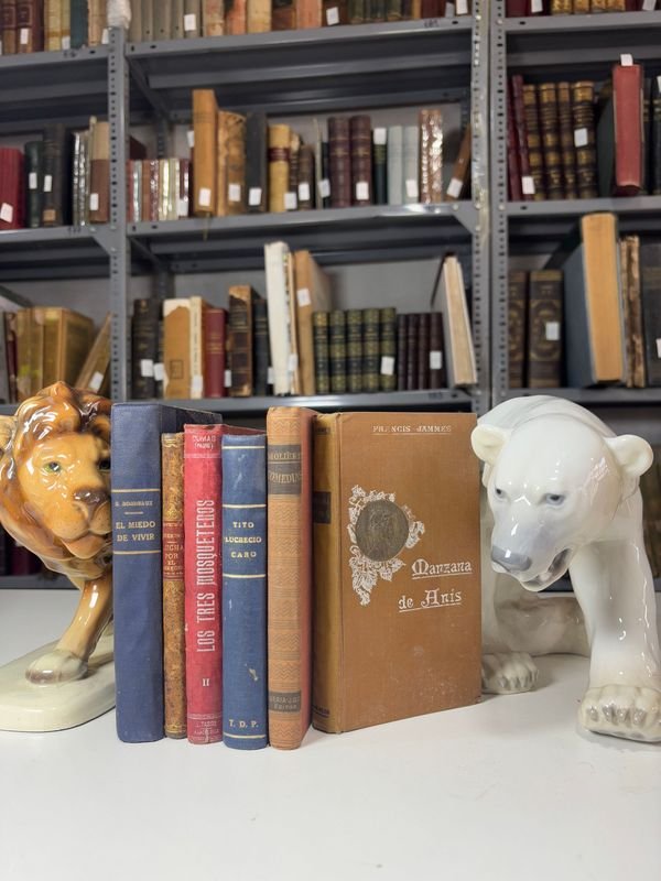 Lote siguiente: Novelas de Reconocidos Autores en Español
