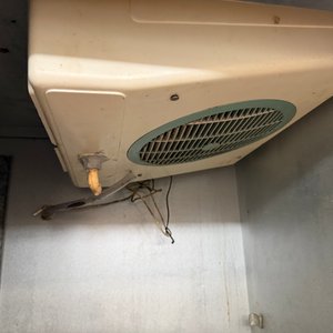 Cámara de Frío Industrial con Gavetas para 20 Bandejas - imagen 6