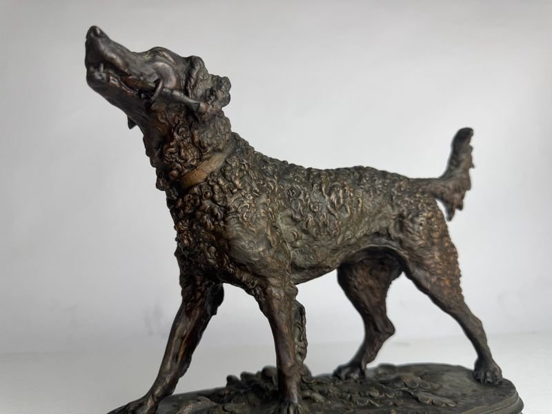 Item 872074 - Image 1