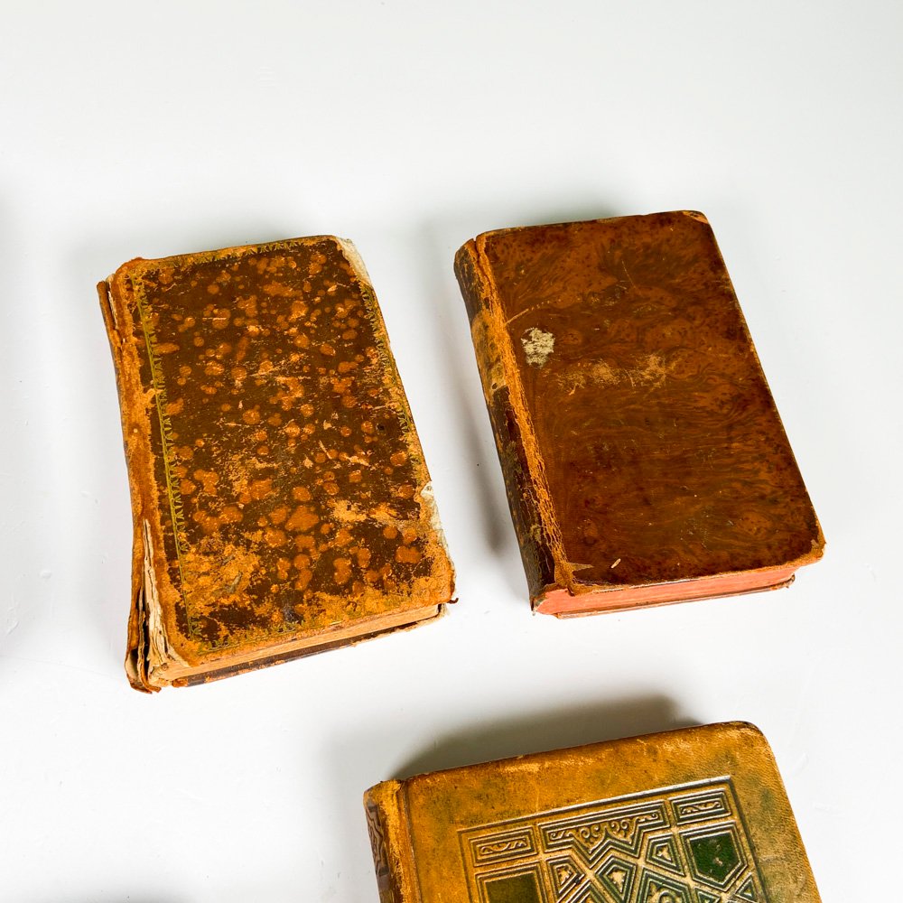 Item 489731 - Image 2