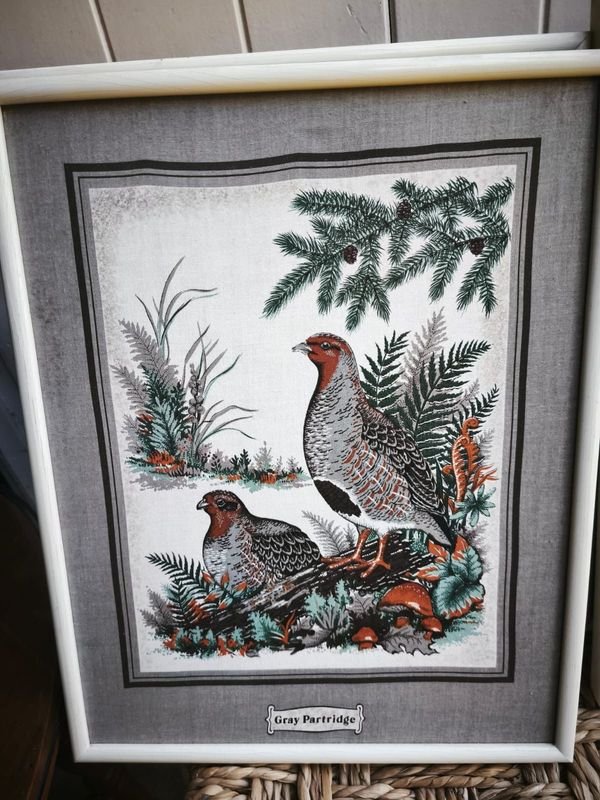 Colección de cuadritos decoración estilo aves - imagen 12