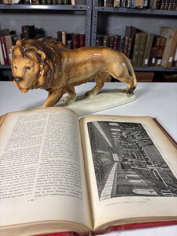 Libro antiguo con estatua de león - imagen 4