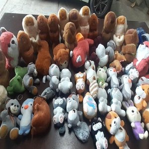 Lote anterior: Lote de Peluches Variados