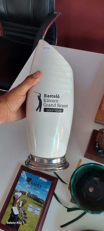 Item 878216 - Image 5