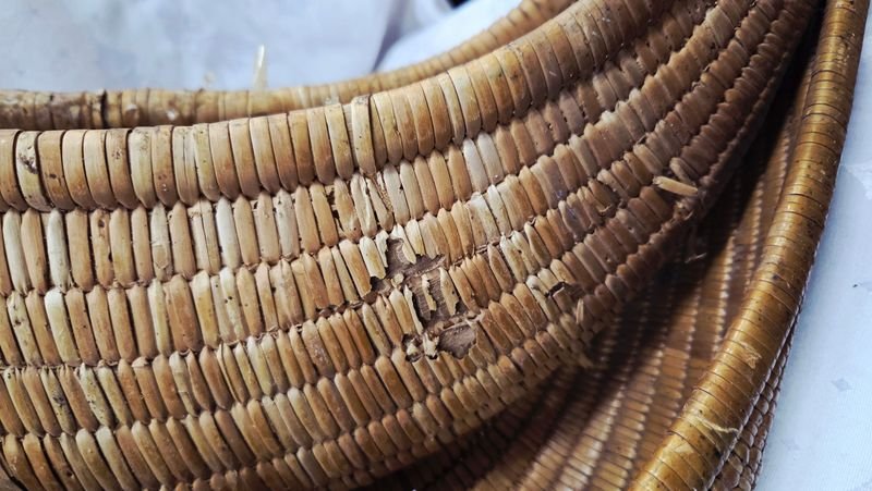 Item 881189 - Image 6