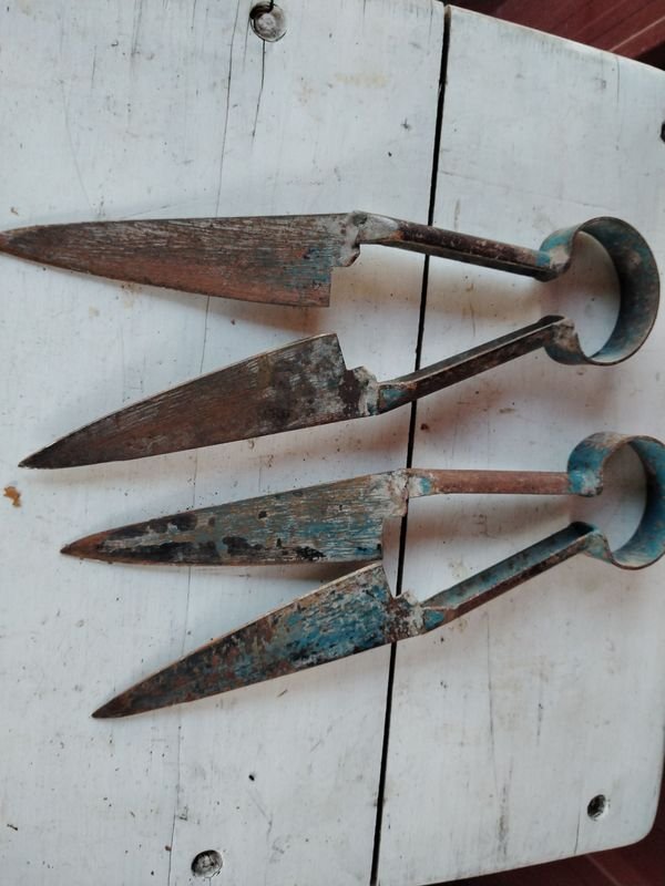 Item 876715 - Image 1