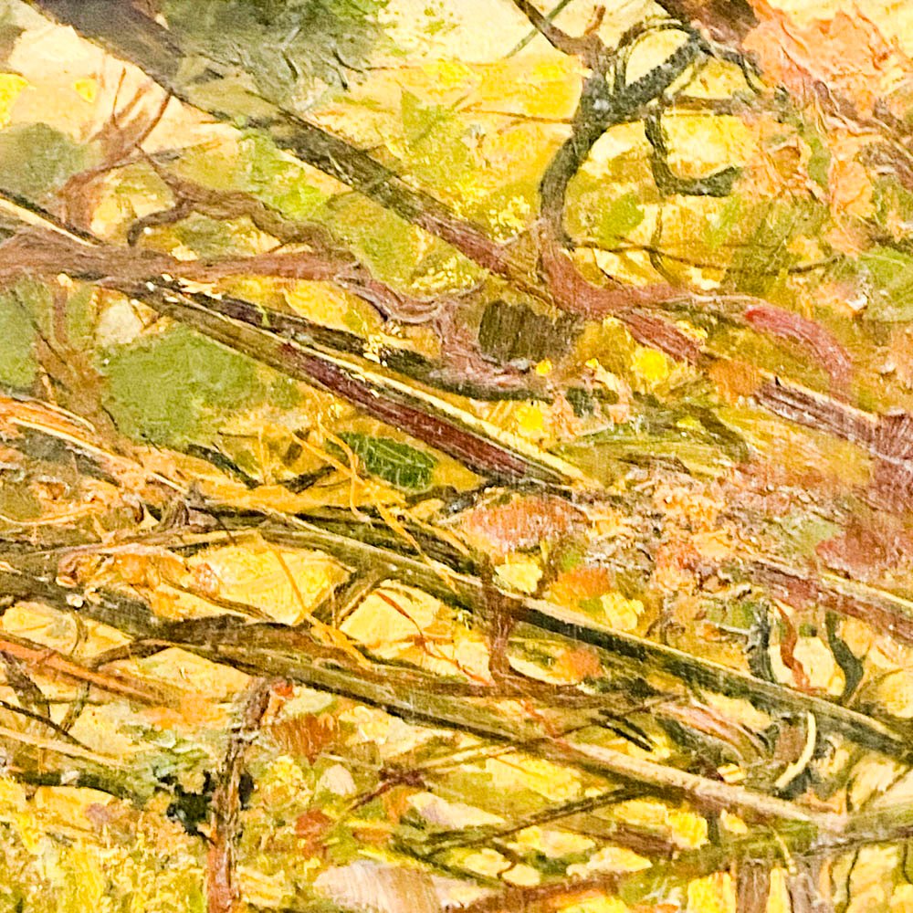 Item 504346 - Image 2