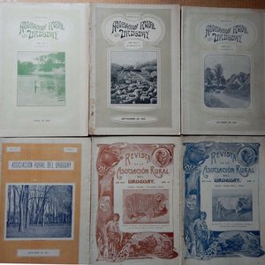 Lote anterior: Seis Revistas de la Asociación Rural del Uruguay: Números 6, 9, 10, 12, 16 y 17