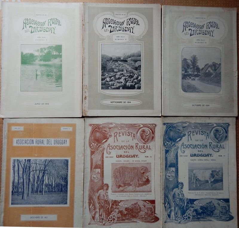 Seis Revistas de la Asociación Rural del Uruguay: Números 6, 9, 10, 12, 16 y 17