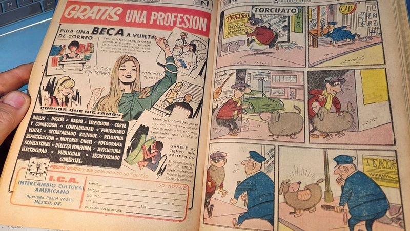 Item 883562 - Image 5