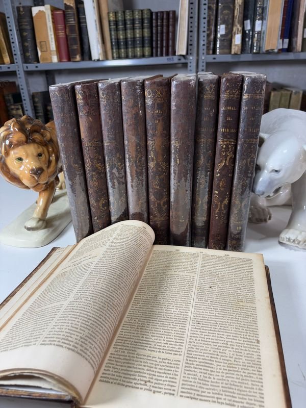 Item 879444 - Image 2