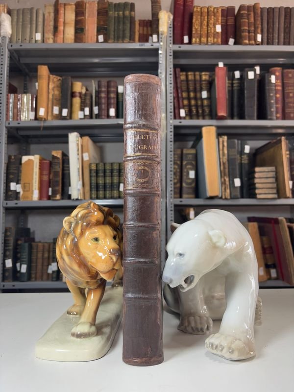 Item 885487 - Image 0