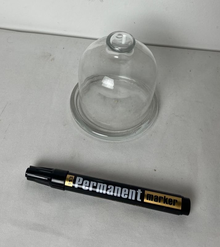 Domo de vidrio y bolígrafo permanente - imagen 4