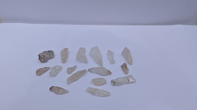 Item 883517 - Image 1