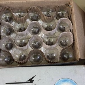 Lámparas de Señalización DESIGN 12V 10/5W - Pack de 20 Unidades - imagen 2