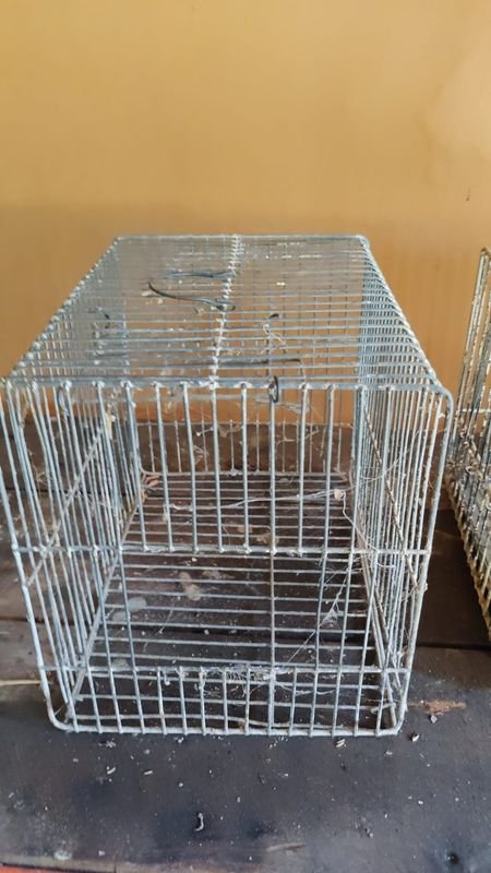 Lotes de Jaulas para Animales - imagen 3