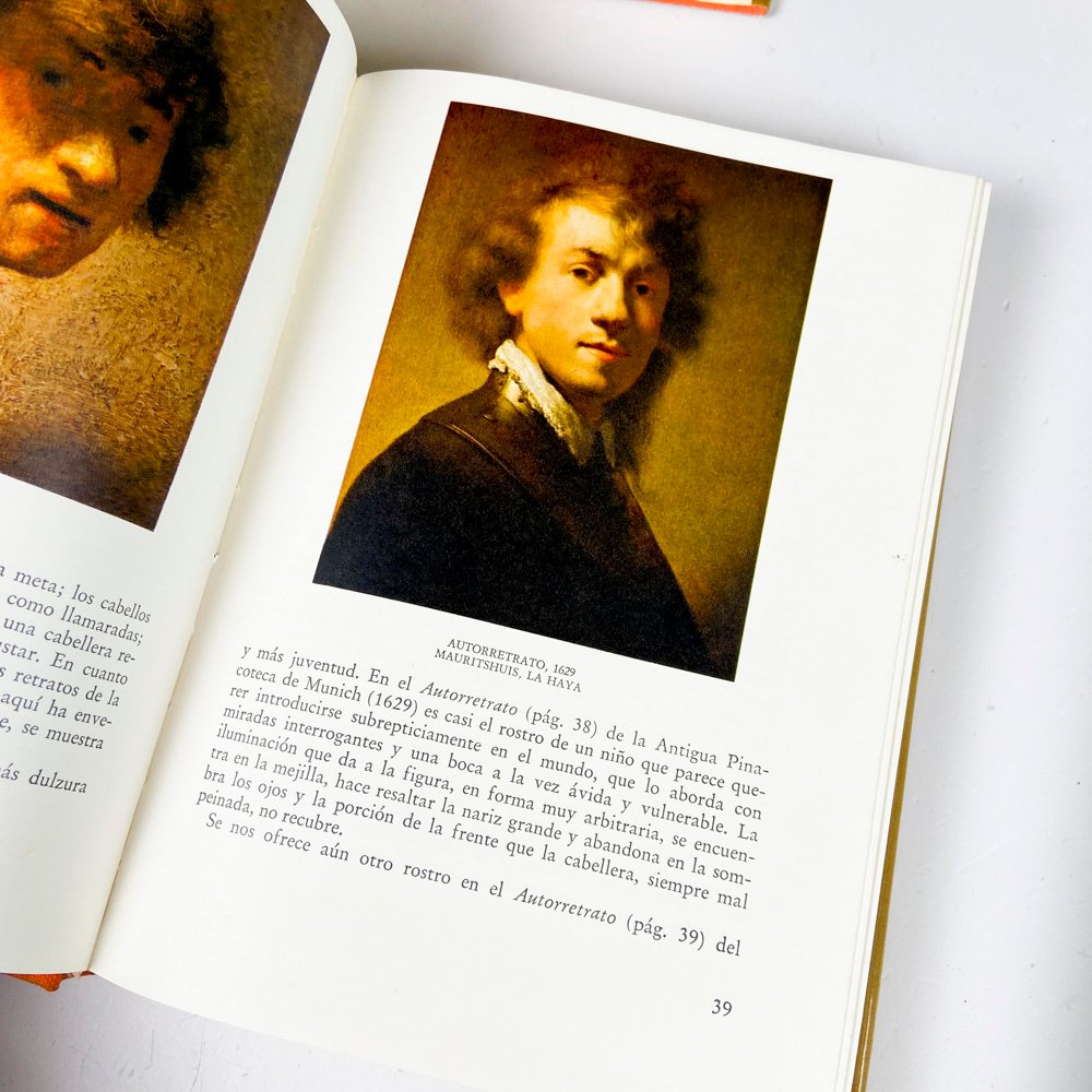 Item 489234 - Image 5