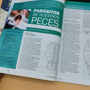 Lote de 4 Revistas de Pesca y Náutica: Panorama de Pesca, El Pato, Catálogos Casa Japón y Zodiac - imagen 7