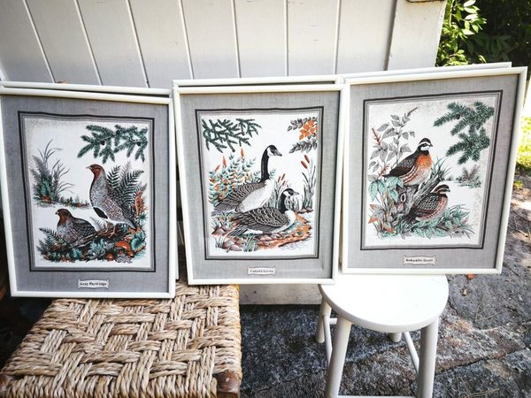 Colección de cuadritos decoración estilo aves - imagen 10