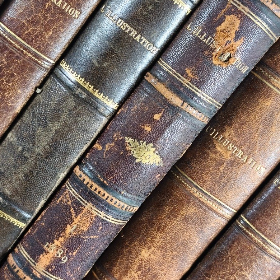 Item 18662 - Image 6