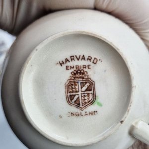 Juego de Loza "Harvard Empire" Inglés con Decoración Floral y Cenefas - 51 Piezas - imagen 9