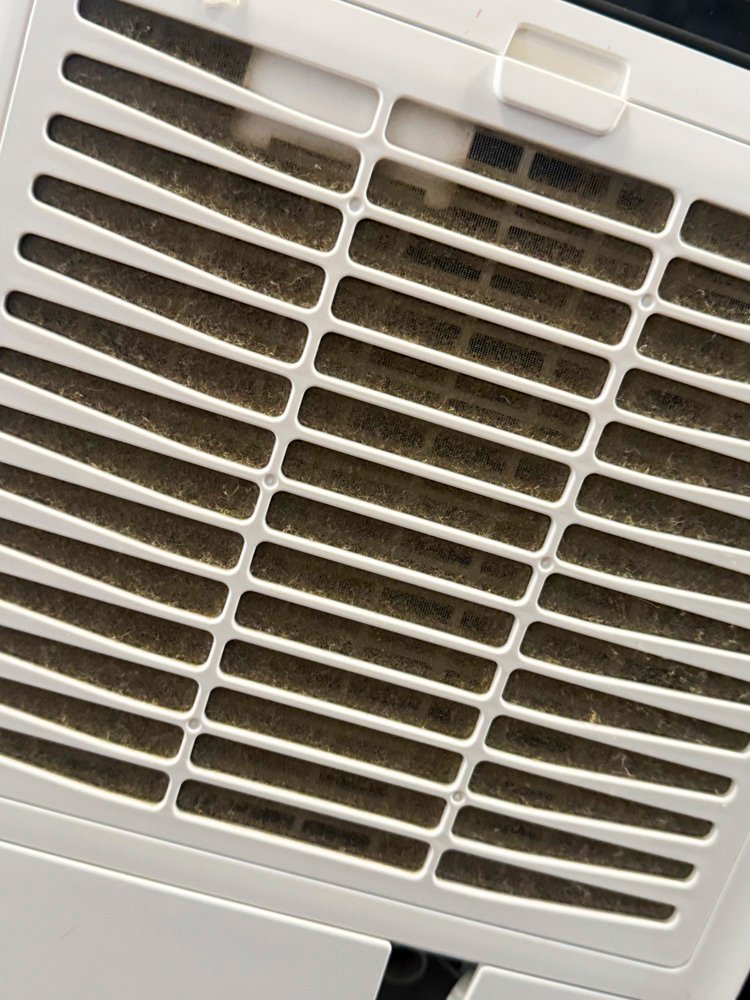 Item 491104 - Image 2