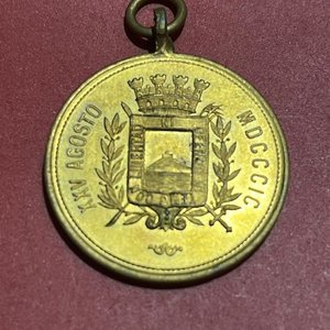 Lote anterior: Medalla "Fiesta de la Locomoción" 1899