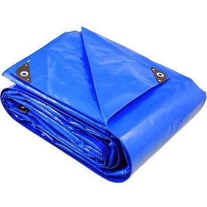 Lote siguiente: Lona impermeable plastica azul multiuso 4x3mt