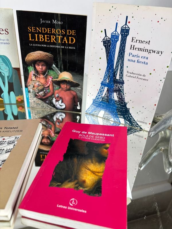 Colección de libros clásicos y contemporáneos - imagen 7