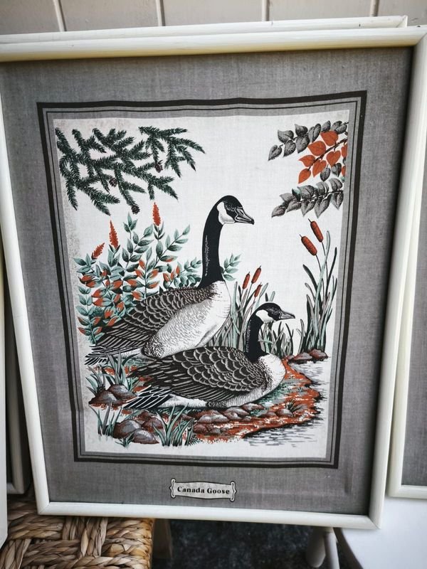 Colección de cuadritos decoración estilo aves - imagen 14