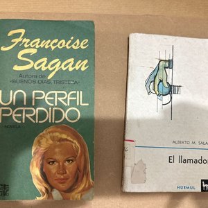 Lote anterior: Libros: "Un Perfil Perdido" de Françoise Sagan y "El Llamador"