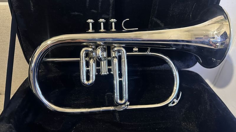 Fliscorno con estuche de música - imagen 4