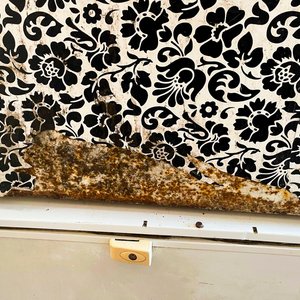 Freezer Horizontal Blanco con Diseño Floral - imagen 2