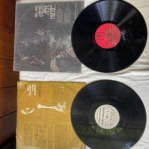 Lote de 2 Discos de Vinilo Usados - imagen 2