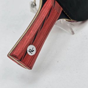 Paleta de Tenis de Mesa Sensei 5 Estrellas con Funda - imagen 4