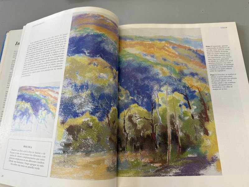 Libro de Pintura Pastel y Caja de Pasteles - imagen 4