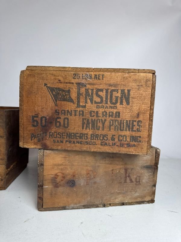 Cuatro cajas de propaganda con corned beef - imagen 5