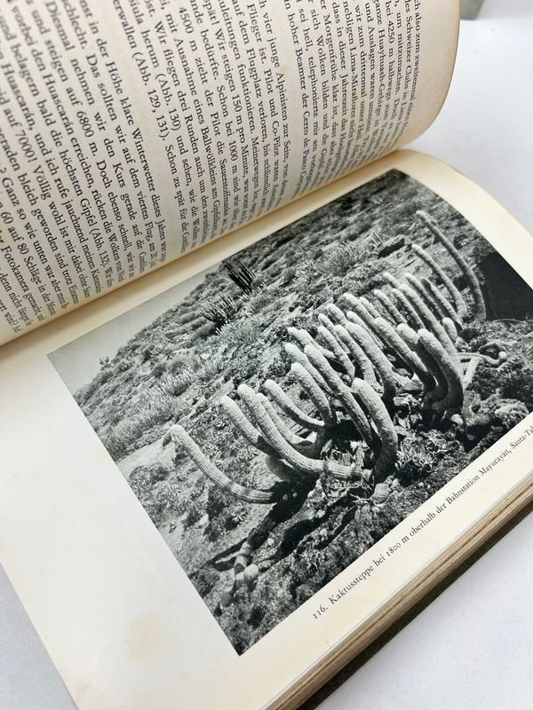 Item 924207 - Image 7