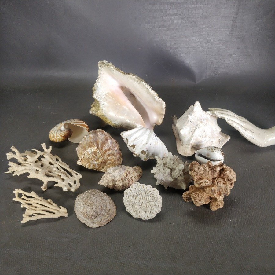 Item 15838 - Image 6