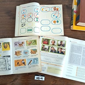 Lote de 15 Libros Variados: Idiomas, Ciencias, Música y Contabilidad - imagen 7