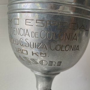 Trofeo "Premio Especial Intendencia de Colonia" L. Dassori - imagen 6