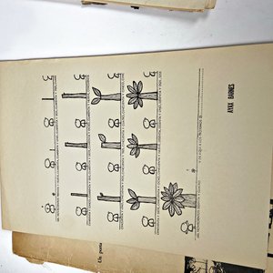 Libro "26 Artistas para 25 Años" - Portafolio de Ilustraciones Hojas Sueltas - imagen 2