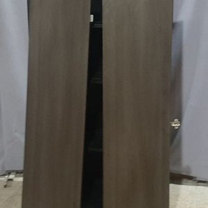 Lote siguiente: Mueble de MDF con Estantes Internos y 2 Puertas