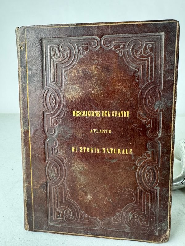 Lote anterior: Libro antiguo de historia natural con ilustraciones