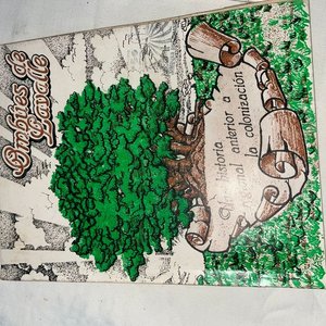 Libros Históricos sobre Valdenses y Colonia, Colección de 7 Tomos - imagen 3