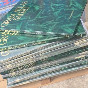 Gran Atlas Salvat Completo: 14 Tomos Ilustrados - imagen 2