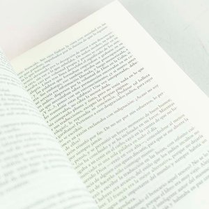 Ruta de Fuego por Ann Benson - Novela Histórica - imagen 2