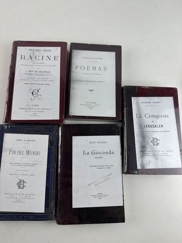 5 libros clásicos europeos de teatro, poesía y novela - imagen 3