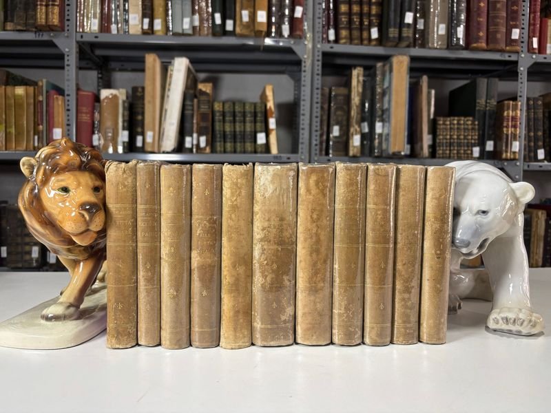 Item 879310 - Image 0